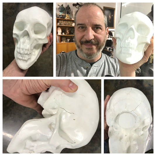 Second Quality Plaster Skull (Human)