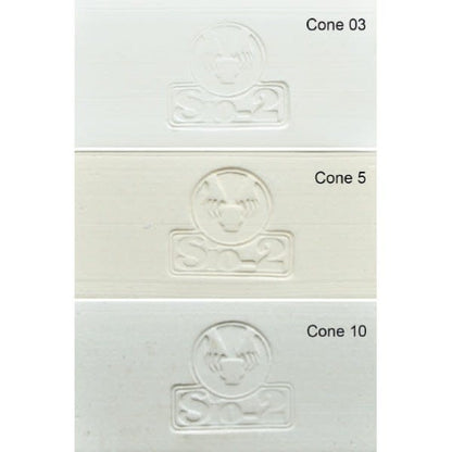 PRAI White Stoneware Clay 27.6lb (Cone 6 - 10)