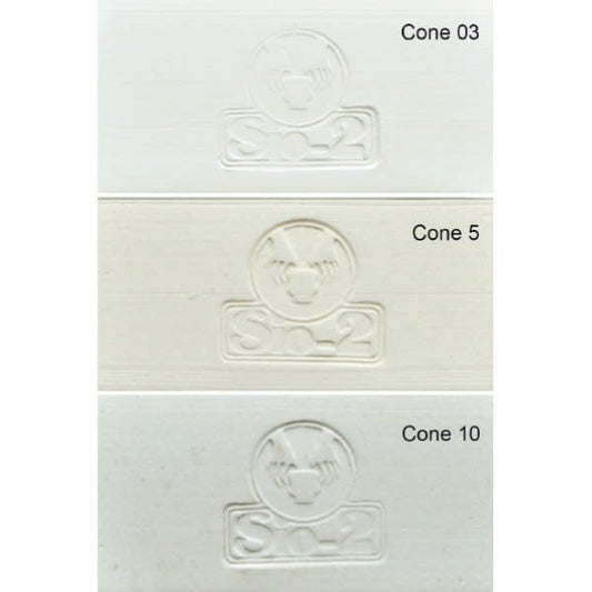 PRAI White Stoneware Clay 27.6lb (Cone 6 - 10)