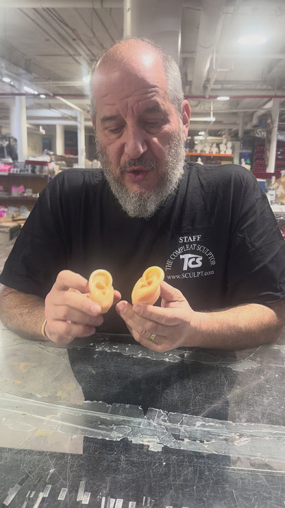 Kaki Silikon Dengan Tulang Betis Sepasang Wanita