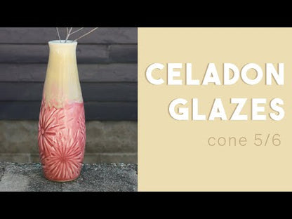 (C) Celadon Glaze Pints