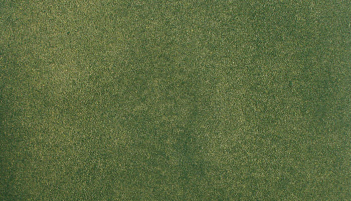 Green Grass Roll 25'' x 33''