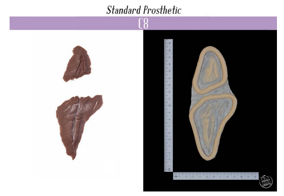 Scar Prothesis Scar - C8 Silicone Prosthetic – The Compleat Sculptor, Inc