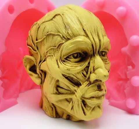 Anatomical Head (2 part) Silicone Mold