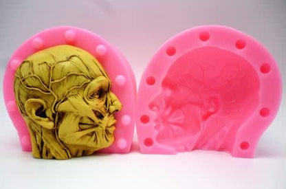 Anatomical Head (2 part) Silicone Mold