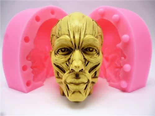 Anatomical Head (2 part) Silicone Mold