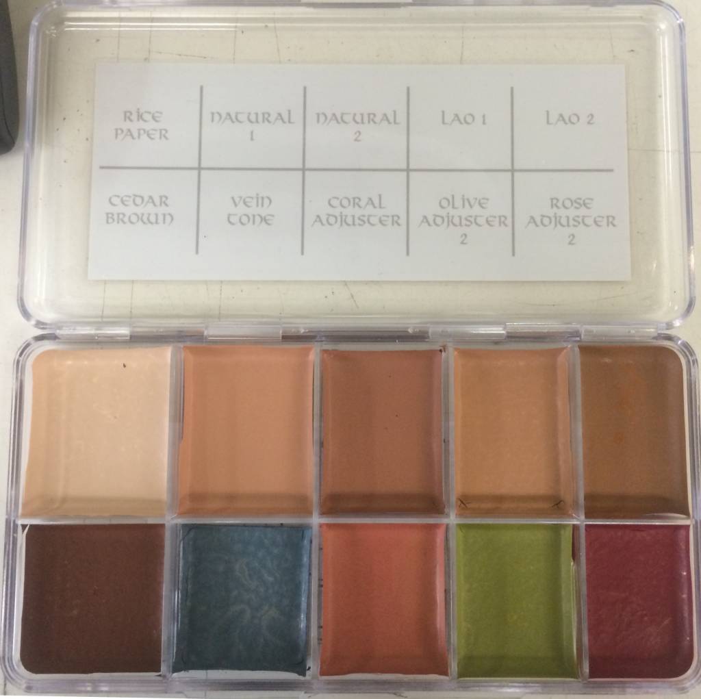 Skin Illustrator Fleshtone Palette