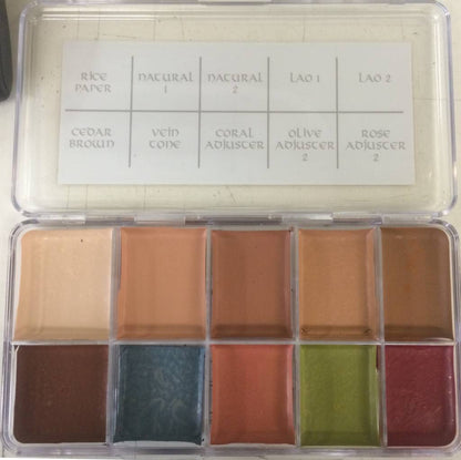 Skin Illustrator Fleshtone Palette