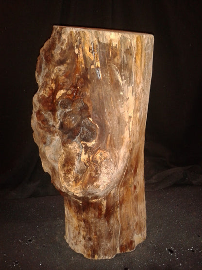 Spalted Maple Log 8"Dx20"H 26lbs #15353