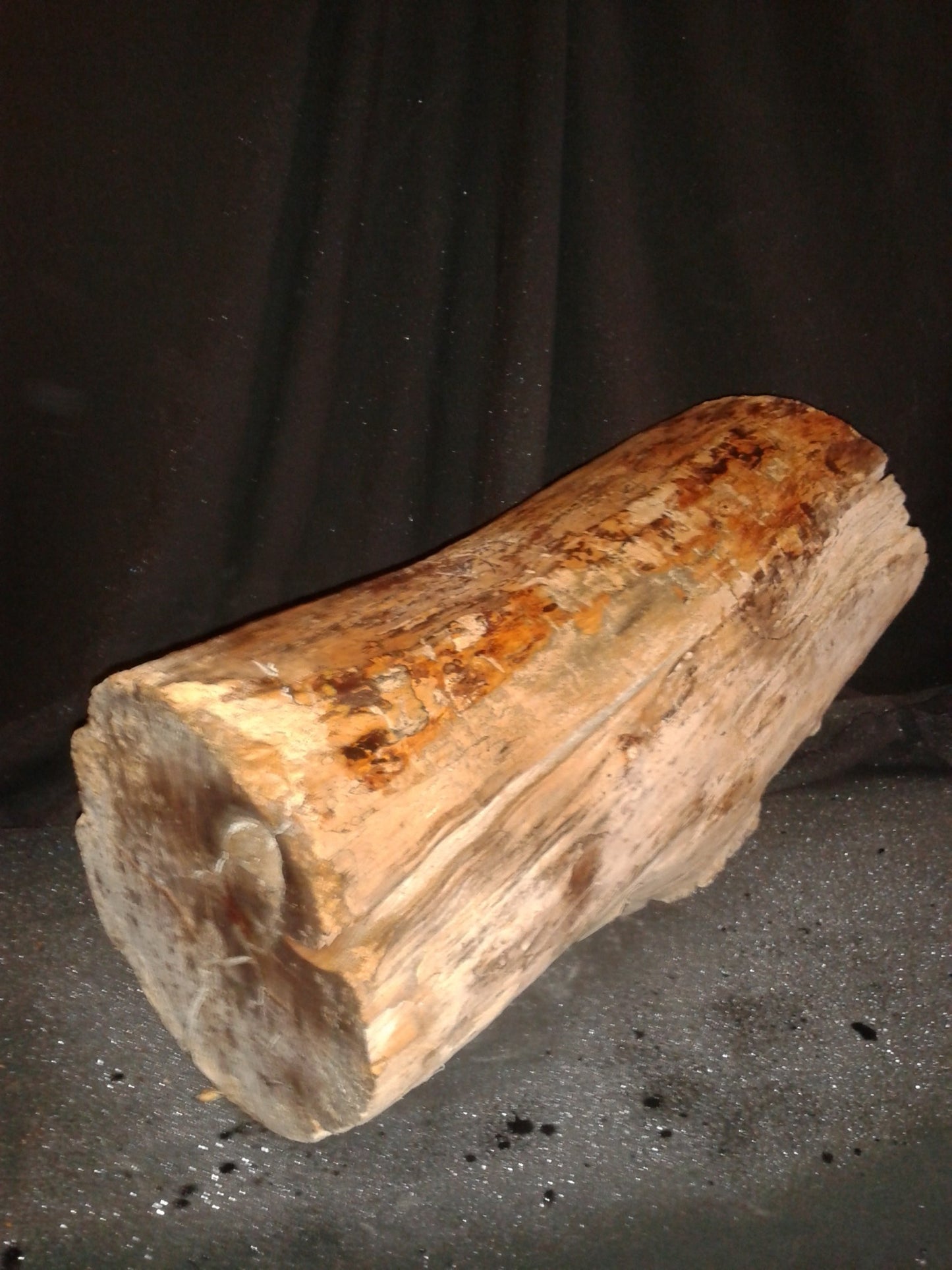 Spalted Maple Log 8"Dx20"H 26lbs #15353