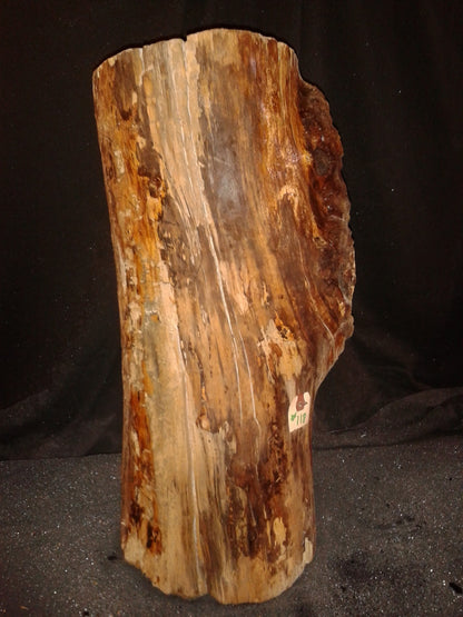 Spalted Maple Log 8"Dx20"H 26lbs #15353