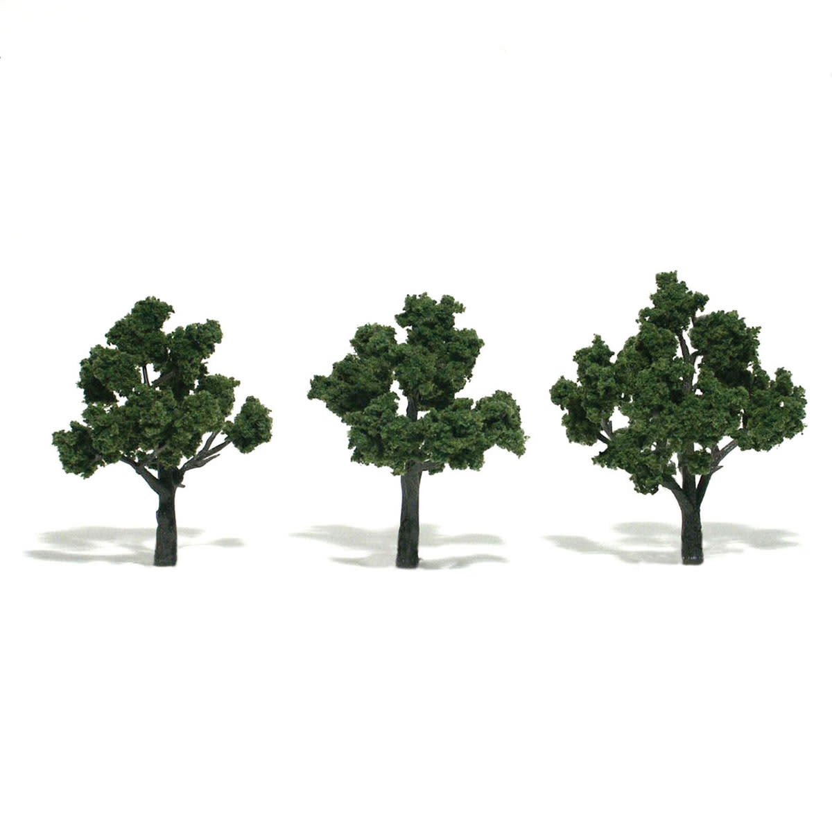 Realistic Trees