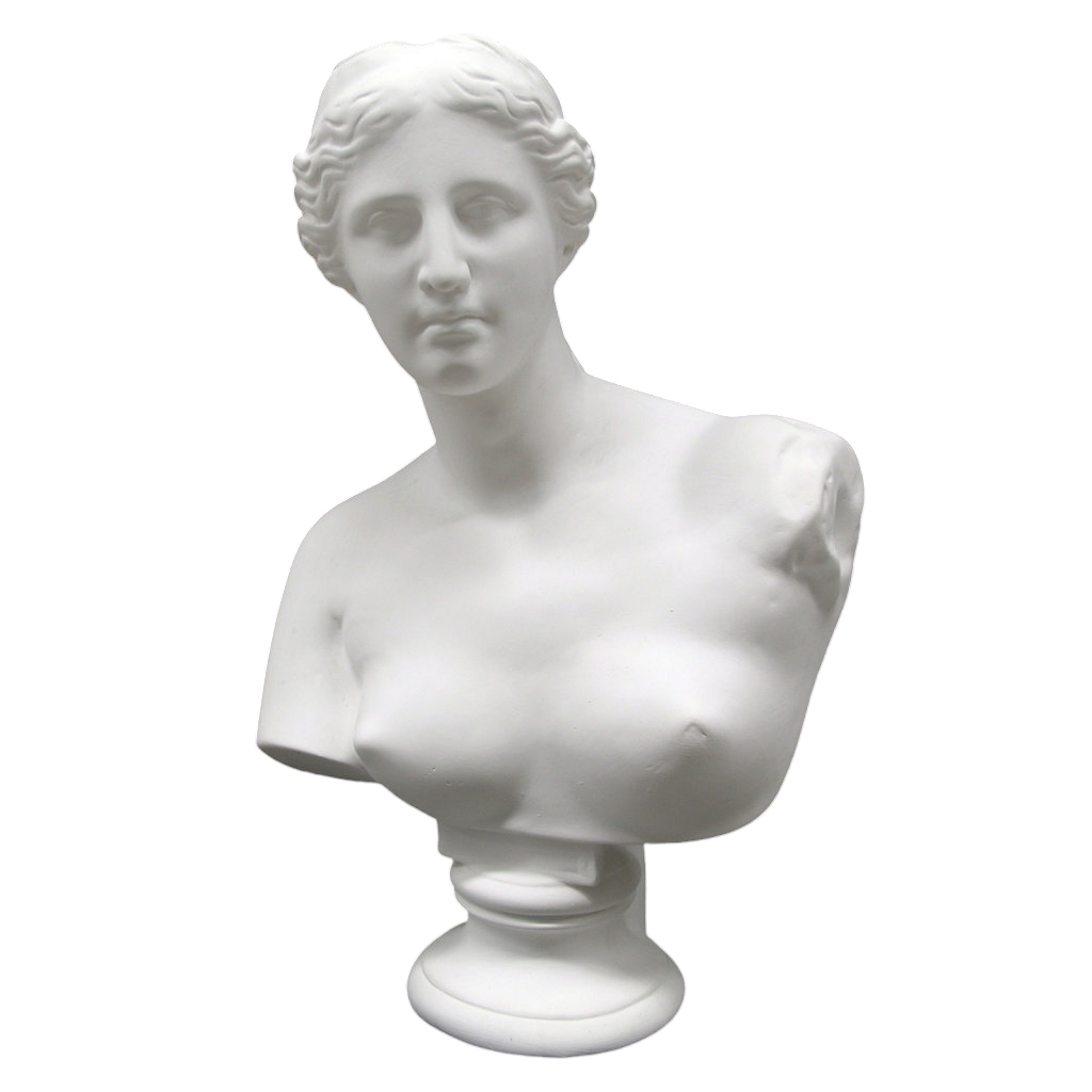 Bust Plaster Venus